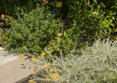 Richmond Planting Tapestry